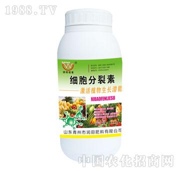 ��(r��n)��-��(x��)��������