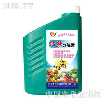 ��(r��n)��-��(x��)��������1kg