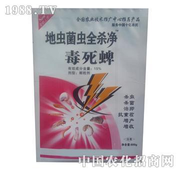 ��-���x���x��ȫ��-������