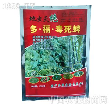 25%ร-x(chng)^-𼪿Ƽ