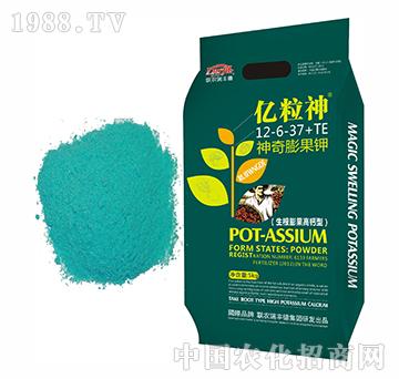 �|��������������}��12-6-37+TE-�����r(n��ng)��