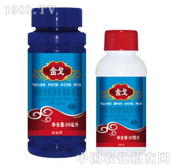 20�|PIB/��������x���Ͷ���w����-���-���{(l��n)