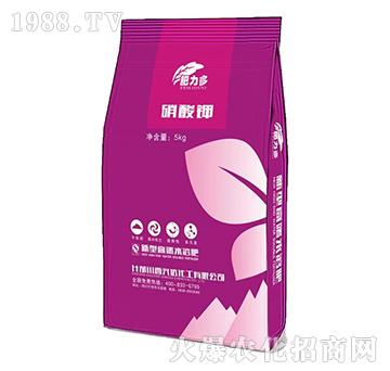 �����-������-�d�_����