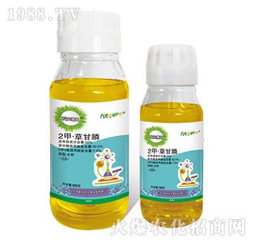 50%2סݸ-r(nng)-¿r(nng)