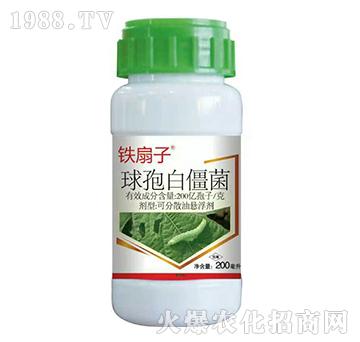 200�|����ÿ�����߰׽���-�F����-�����_