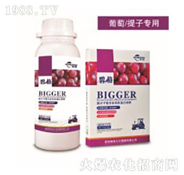 �������ӌ��ø߷��ӏ�(f��)�����ЙC����Һ��-�̸�-�ɭ�r(n��ng)�I(y��)