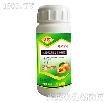 Ҙ䌣ÿݲݡzѿߗU--Sf¡