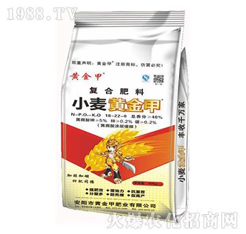 ��(f��)�Ϸ���18-22-0-С���S���-�S���