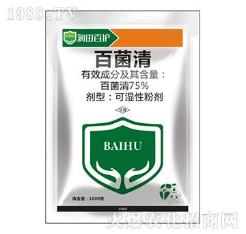 75%�پ���-������o(h��)