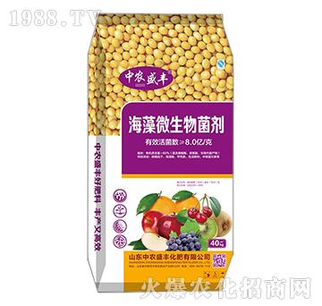 ����΢�������-���rʢ�S