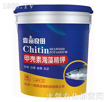 �ך��غ��徫�-Ҽ������