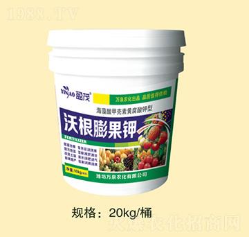 �ָ�����-�fȪ�r��