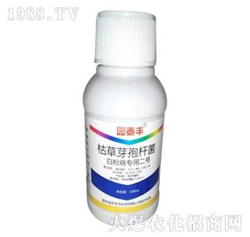 ݲѿߗU׷۲ö̖-@̩S-r(nng)I(y)