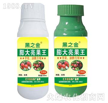 �O(p��ng)�������Ҍ�(zhu��n)�����������-�R�Sֲ��