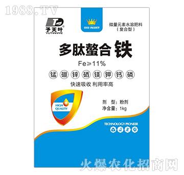 ���������F-���~����