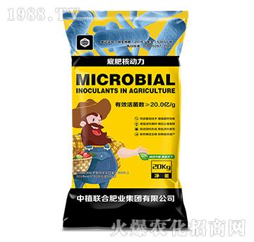 ���ʡ��˄�(d��ng)��-��ֲ(li��n)��