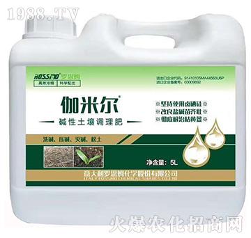 �A�������{(di��o)����-٤�נ�-ľ�̼ь�