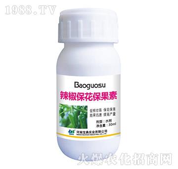 ��������������-���䌍�I(y��)