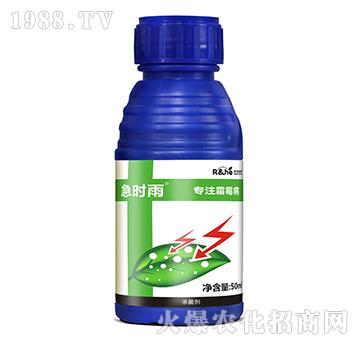 ˪ù�����Ú�����-���r��-�к�����