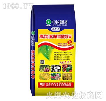 �߼����S�����-���r