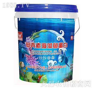 �ך��غ����~����-�����S-����