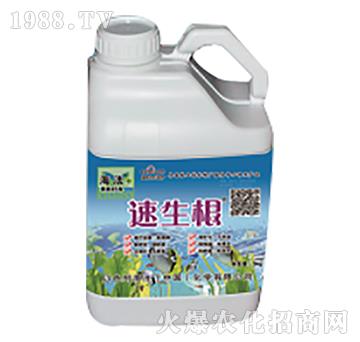 ������-����