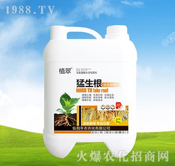 ������-ֲ��-�S�r�r��