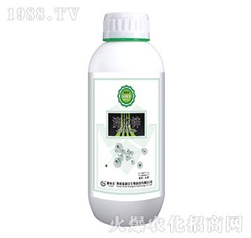 ���w�\-���ژ�-̩����