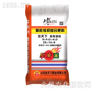 ȩጏ(f)Ϸ25-14-6-S-