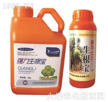 ����������-�p������