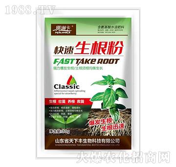 ����������-���տ�-�����S