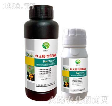 ��Ч�A(y��)���t֩�����ܾ���-�t�oӰ�����ܾ�-��ֲ��(y��u)