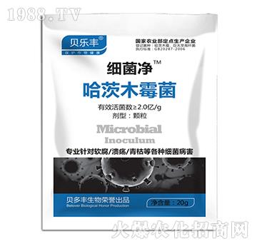 ����ľù��-��(x��)����-ؐ���S