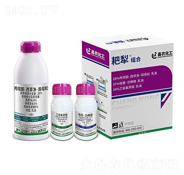 28%fͪ݃f+24%+37%fݡɯ-M-r(nng)