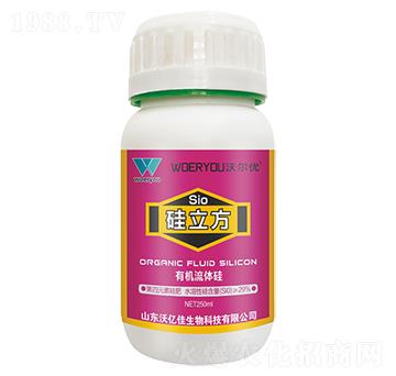 �ЙC(j��)���w��-������-�֠���(y��u)