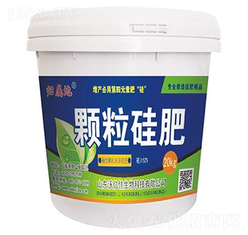 �w�����-�֠���(y��u)