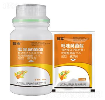 25%�����Ѿ���-�̸�-�S�՘�(l��)