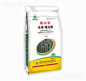 �����L(zh��ng)�������x(ch��ng)�-�ڼZ