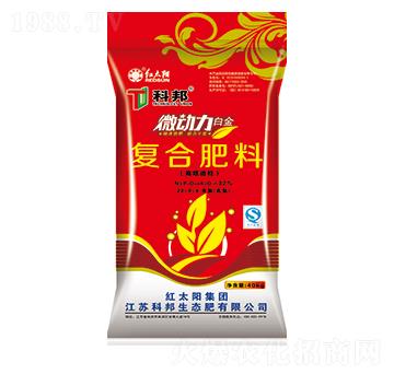 ΢����������(f��)�Ϸ���28-0-4-�ư����B(t��i)