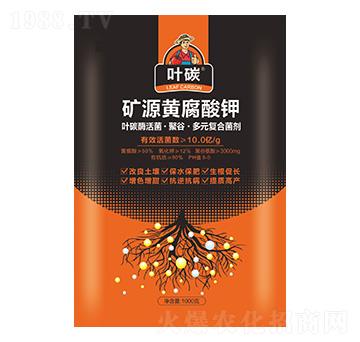 VԴS-~̼-Ar(nng)I(y)