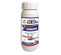 ���xһ���