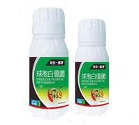 ���߰׽���-���xһ���