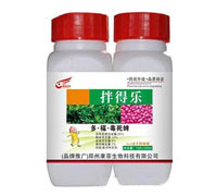 25%�ࡤ����������