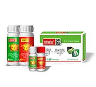 �׷�ʭ�����ײ�