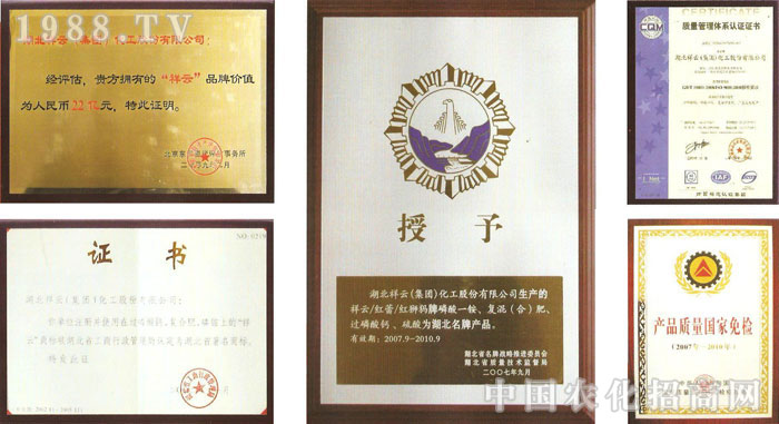 �������ƣ����F(tu��n)�������ɷ����޹�˾