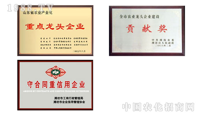 �۹��������﹤�����޹�˾