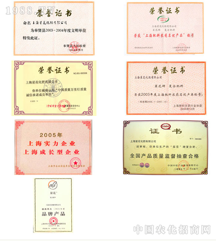 �Ϻ��ǻ��������޹�˾