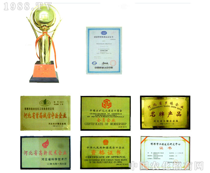 �ӱ���(y��ng)�������޹�˾