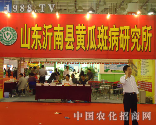 山東沂南縣黃瓜斑病研究所現(xiàn)身廈門農(nóng)藥會