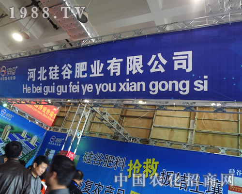 硅谷肥業(yè)亮彩整個第十八屆濟南植保會展館